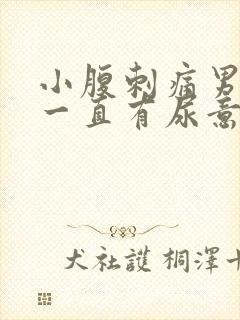 小腹刺痛男 尿一直有尿意