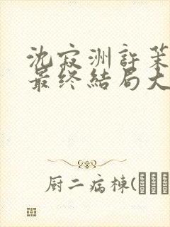 沈寂洲许茉孟姣最终结局大结局