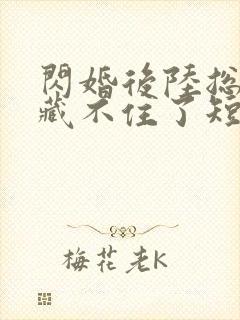 闪婚后陆总马甲藏不住了短剧