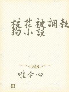 校花被调教成母狗小说