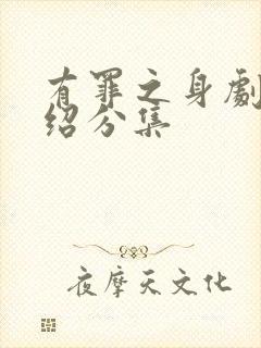 有罪之身剧情介绍分集