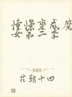 憧憬变成魔法少女第二季