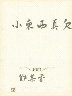 小东西真欠弄封面