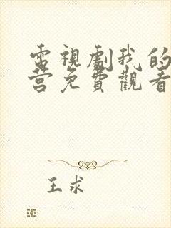 电视剧我的特一营免费观看