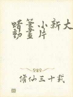 蜡笔小新大电影动画片