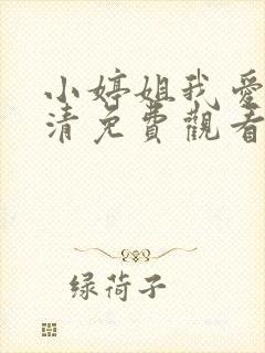 小婷姐我爱你高清免费观看电视剧