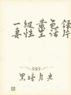 一级黄色录相夫妻性生活片