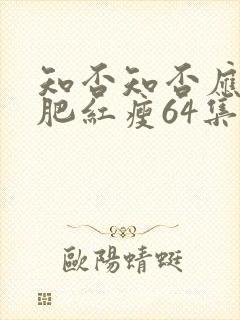 知否知否应是绿肥红瘦64集