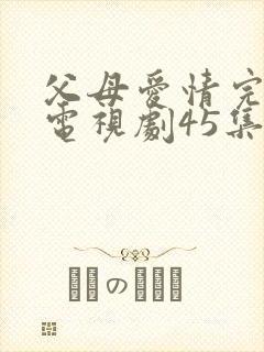 父母爱情完整版电视剧45集