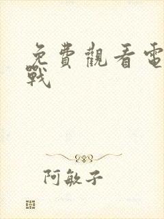 免费观看电影盲战