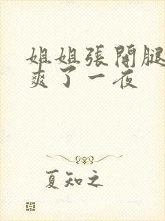 姐姐张开腿让我爽了一夜封面