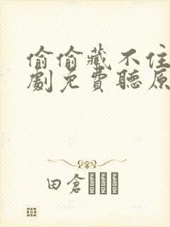 偷偷藏不住广播剧免费听原版