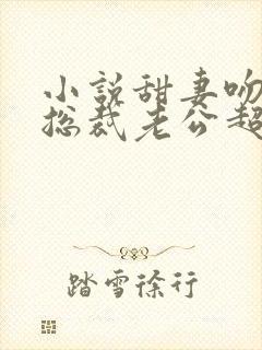 小说甜妻吻安:总裁老公超棒的