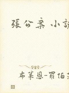 张公案 小说