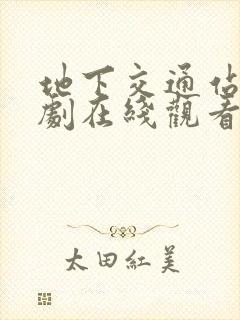 地下交通站电视剧在线观看免费高清