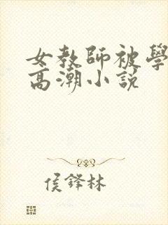 女教师被学生玩高潮小说封面