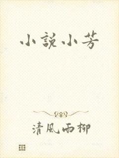 小说小芳