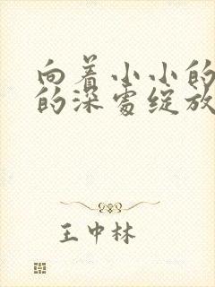 向着小小的花蕾的深处绽放动漫封面