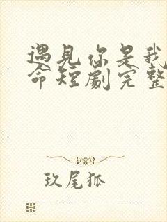 遇见你是我的宿命短剧完整版