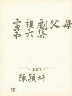 电视剧父母爱情第六集
