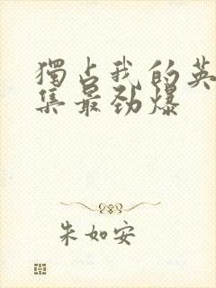 独占我的英雄哪集最劲爆