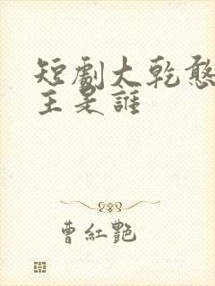 短剧大乾憨婿男主是谁