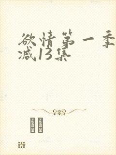 欲情第一季未删减13集