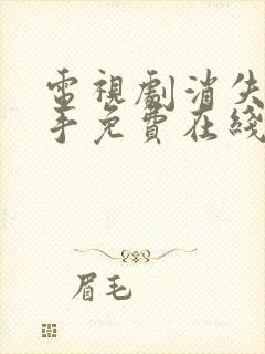 电视剧消失的凶手免费在线观看