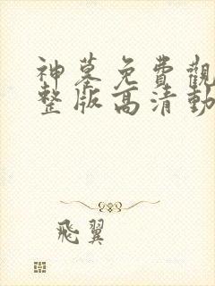 神墓免费观看完整版高清动漫在线