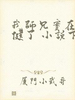 我师兄实在太稳健了 小说下载txt