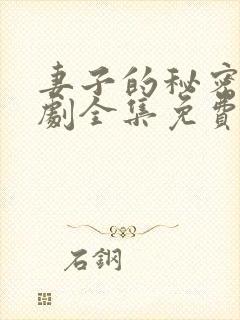 妻子的秘密电视剧全集免费观看完整版