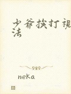 少爷挨打视频家法封面