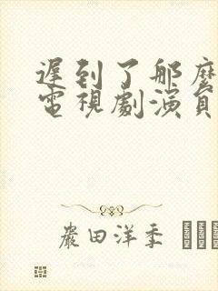 迟到了那么多年电视剧演员表