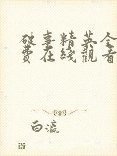 破事精英全集免费在线观看封面