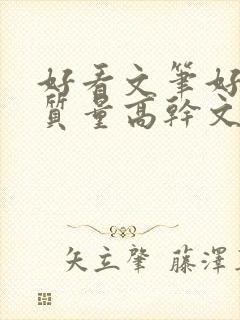 好看文笔好的高质量高干文