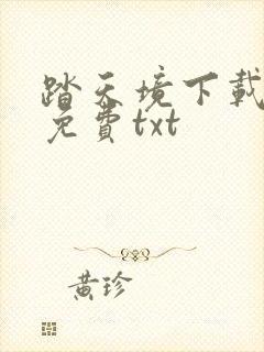 踏天境下载全本免费txt封面