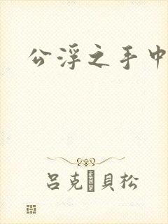 公浮之手中字5