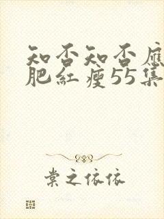 知否知否应是绿肥红瘦55集