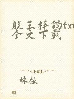 朕王梓钧txt全文下载封面