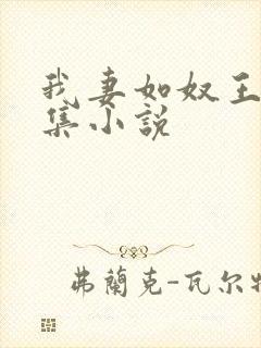 我妻如奴王琳续集小说