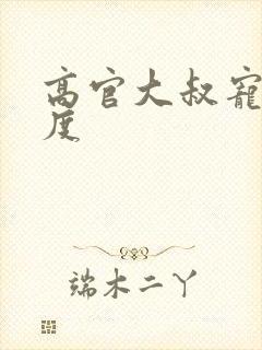 高官大叔宠妻无度