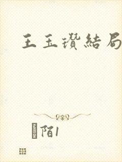 王玉瓒结局封面