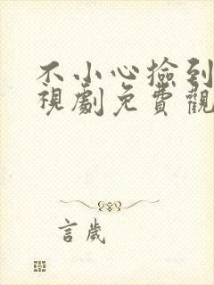 不小心捡到爱电视剧免费观看全集