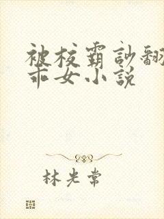 被校霸吵翻的乖乖女小说