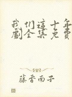 我们这十年电视剧全集免费看封面