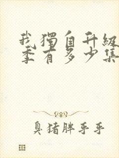 我独自升级第二季有多少集