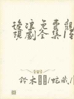 后浪免费观看电视剧全集1到40封面