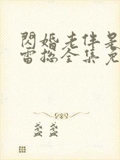 闪婚老伴是豪门雷总全集免费