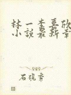 林一李嘉欣官场小说最新章节列表