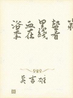 浴血黑帮 第四季在线看